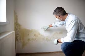 Best Attic Mold Removal  in Southmayd, TX